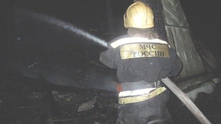 В Воронежской области в сгоревшем сарае нашли труп неизвестного мужчины
