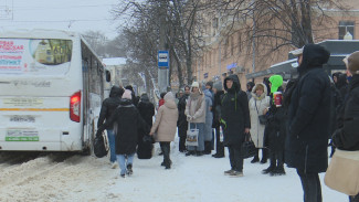 В Воронеже из-за снегопада изменятся маршруты 21 автобуса