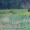Подростка отправили в колонию на 7 лет за попытку взорвать машину военного в Воронеже