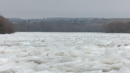 В Воронежской области из-за ледохода развели два моста через Дон