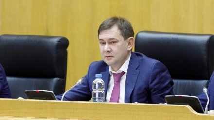Доходы бюджета в Воронежской области в 2024 году спрогнозировали в объёме 173,5 млрд 