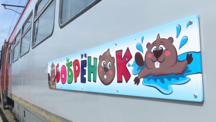 Воронежцев предупредили о скидке на билеты на туристический поезд «Бобрёнок»