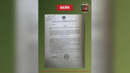 Воронежцев предупредили о фейковом указе губернатора о переоборудовании убежищ