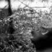 Дачный дом попал под удар ВСУ в Воронеже