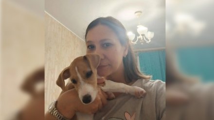 Щенок джек-рассел-терьера умер в Воронеже после вакцинации «Мультиканом»