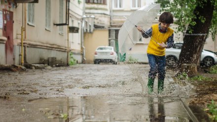 Последние майские выходные в Воронеже будут дождливыми