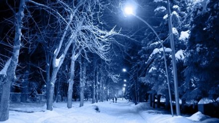 Воронеж пережил самую холодную ночь января