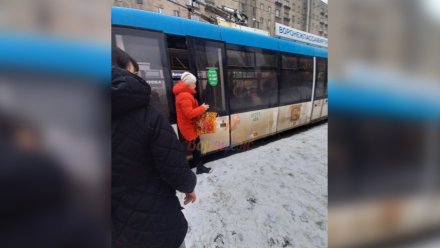 В Воронеже отстранили от работы водителя троллейбуса, зажавшего дверьми пенсионерку 