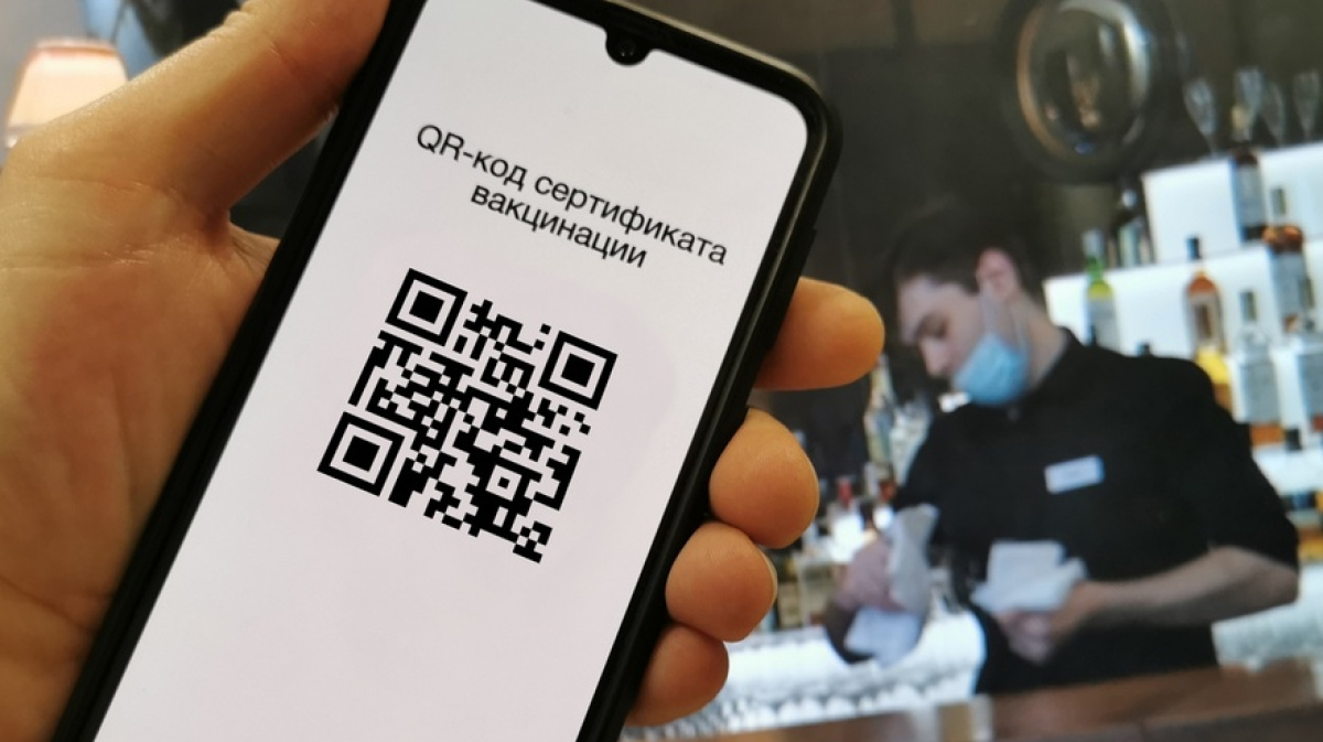 Воронежцам напомнили о способах получения QR-кода и причинах отказа в его  выдаче – Новости Воронежа и Воронежской области – Вести Воронеж