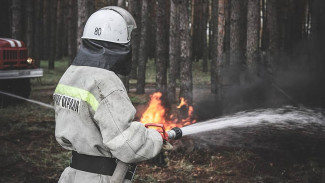 Ещё один ландшафтный пожар вспыхнул в Воронежской области