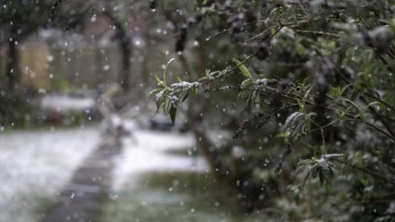 Воронежцам пообещали снег в конце апреля