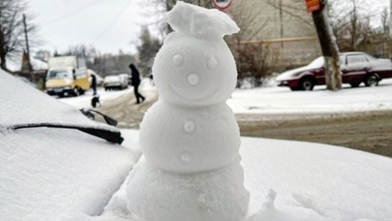 «Зимняя сказка». Жители Воронежа  поделились фото заснеженных улиц после метели