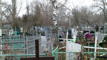 В Воронеже вандалы разграбили более 100 захоронений на кладбищах