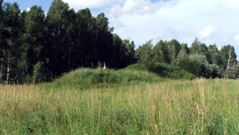 В Воронежской области утвердили охранные границы древнего курганного могильника