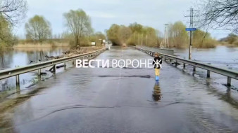 Воронежцы проигнорировали запрет на проезд по затопленному мосту в Ступино
