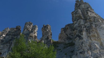 Для воронежцев организовали дополнительные экскурсионные поезда в Дивногорье