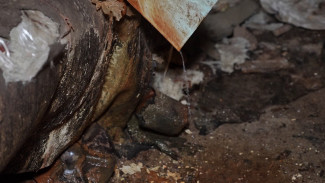 Жильцы воронежской пятиэтажки взяли штурмом УК из-за отсутствия отопления