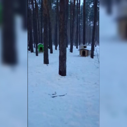 В мэрии Воронежа прокомментировали установленные в Боровом будки