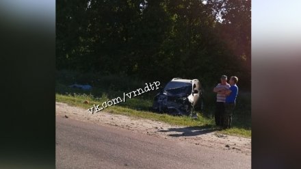 В Воронежской области в ДТП из-за пьяного водителя погиб мотоциклист