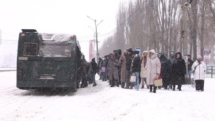 Воронежцев предупредили об изменении маршрута двух популярных автобусов
