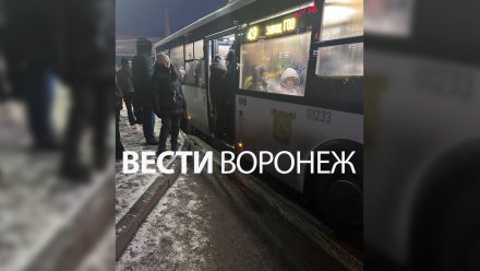 Воронежцы пожаловались на забитые в час пик автобусы №49