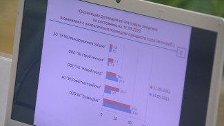 «ПИК-Комфорт» стал самым крупным должником перед поставщиками в Воронежской области