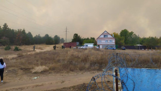 Воронежские энергетики помогли спасателям потушить мощнейший лесной пожар