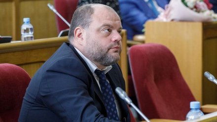 Жители Воронежской области спросили депутата о субсидиях молодым семьям и льготах на ЖКХ