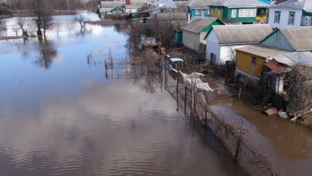 В Воронежской области остались затопленными 39 дворов