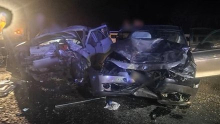 Водителя BMW арестовали за смертельное ДТП с 5 пострадавшими в Грибановском районе