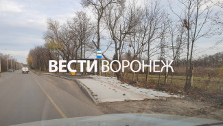 По уши в грязи. Воронежцев возмутила дорога к новым остановкам в Шилове