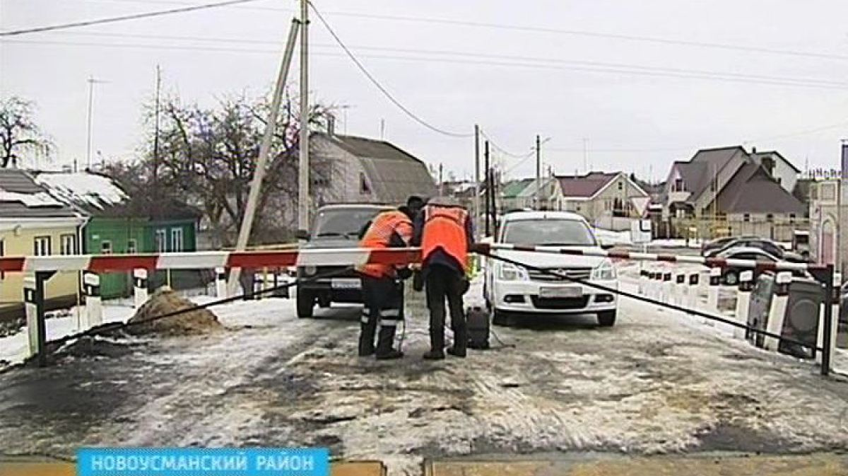 Погода воля. Воронеж посёлок Воля. Поселок Воля Новоусманский район. Посёлок Воля Новоусманский район Воронежская область. Жители поселок Воля.