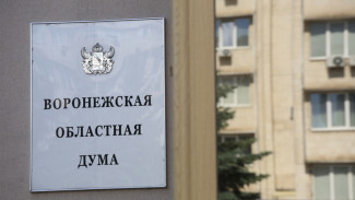 В Воронежской области разработали проект регионального бюджета