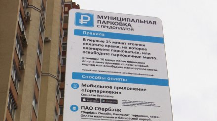 Платные парковки в Воронеже не стали менять название по требованию антимонопольщиков