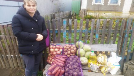 Каширские единороссы доставили продукты многодетным семьям, пенсионерам и инвалидам