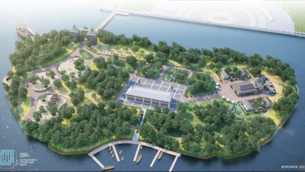 Торги на проектирование тематического парка «Петровский остров» в Воронеже отменили