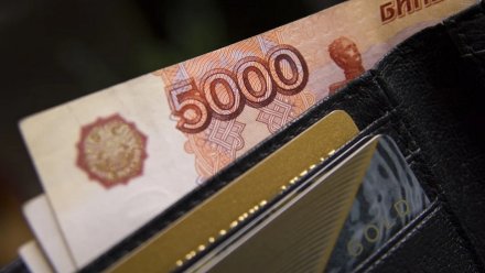 Средняя зарплата воронежцев в пандемийный год достигла 45 тыс. рублей