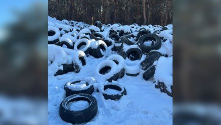 На месте огромной свалки шин в Воронеже установят камеры