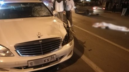 Воронежца на Mercedes с «крутыми» номерами отправили в колонию за сбитую пенсионерку