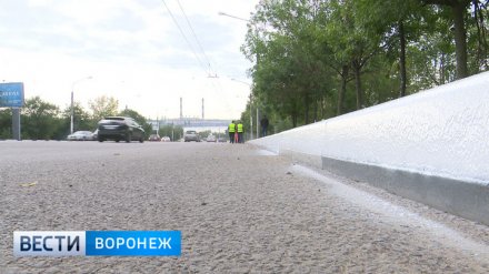 Правый и левый берег Воронежа свяжет ещё один маршрут