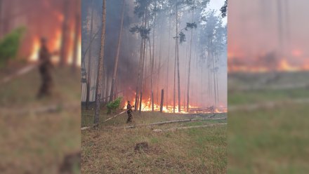 Воронежские пожарные присоединились к тушению заповедника в Липецкой области