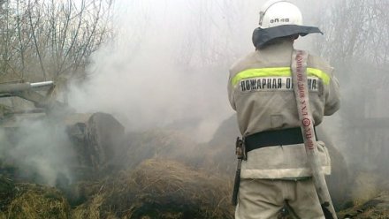 Пожар вспыхнул в воронежском хуторе: сгорело более трёх тонн сена