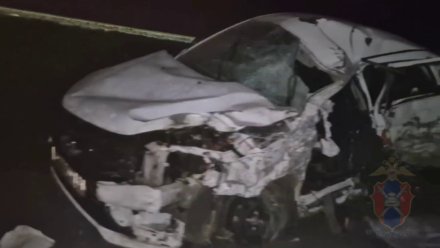 25-летний водитель КамАЗа ответит в суде за смертельное ДТП на воронежской трассе