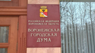 Воронежцев пригласили обсудить городской бюджет на 2021 год