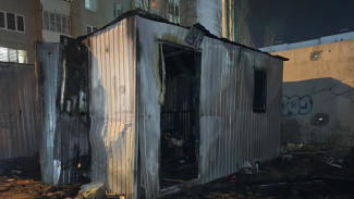 Мужчина и женщина погибли при пожаре на Левом берегу Воронежа