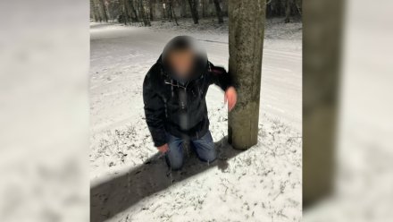 Депутат Госдумы предложил наградить спасших от душителя 15-летнюю девочку в Борисоглебске