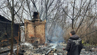 Погибшими при пожаре в воронежском посёлке оказались двое мужчин