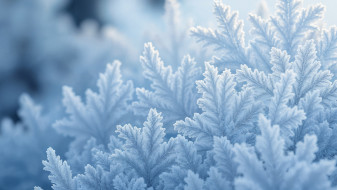 Воронежцы пережили самую холодную февральскую ночь за последние 10 лет