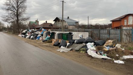 Гору мусора возле оживлённой дороги сняли на камеру в селе под Воронежем