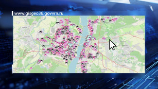 Воронежцам показали в действии интерактивную карту торговых точек